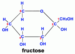 fructose.gif