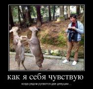 951269_kak-ya-sebya-chuvstvuyu-_demotivators_to.jpg