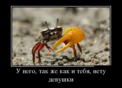 1387781413_demotivatory_12.jpg