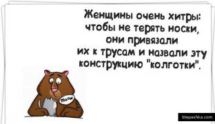 315087500002000comix_13.jpg
