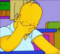 homer-facepalm-6b27.jpg