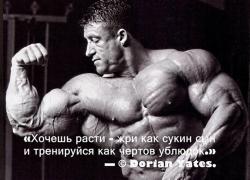 Q2_sh526U5g.jpg