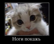 388839_nogi-pokazh-_demotivators_to.jpg
