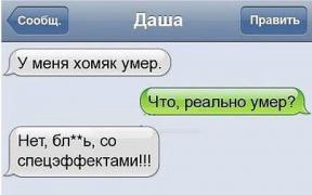 77.jpg