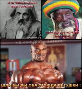 коля.jpg