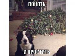 getImage (1).jpg