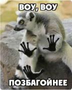 загруженное (1).jpg