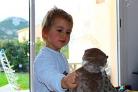 IMG_2366 (Copier).JPG