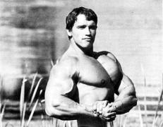 a-few-pics-of-arnold_3718.jpg