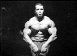Arnold_Schwarzenegger_1862.jpg