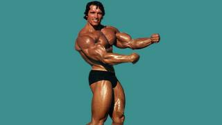 hd-wallpapers-bodybuilding-forums-arnold-schwarzenegger-wallpaper-1600x900-wallpaper.jpg