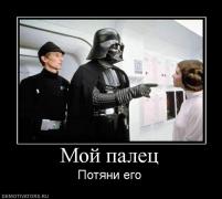 54082_moj-palets.jpg