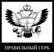 zYIGKHXFXOU.jpg