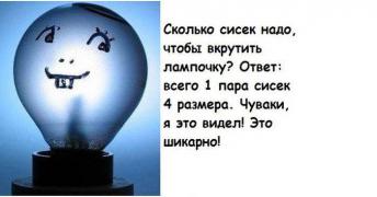 faktov-bespoleznyh-kuchka-kartinki-idiotizmy_351408336.jpg