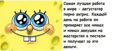 faktov-bespoleznyh-kuchka-kartinki-idiotizmy_77218779.jpg