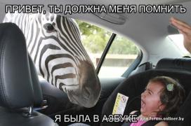82c7edccef2c64631b53bd5941d4fd39.jpg