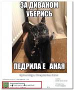 0_121f45_ed1c38fa_orig.jpg