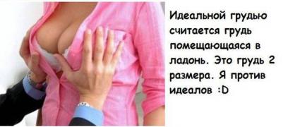 faktov-bespoleznyh-kuchka-kartinki-idiotizmy_99817267.jpg