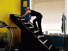 1419434374_397036741.gif