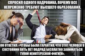 J6pjnFisOBw.jpg