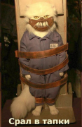 1419247275_645244355.png