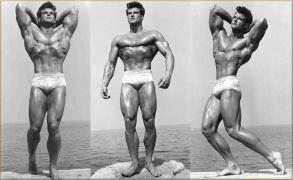 steve-reeves1.jpeg