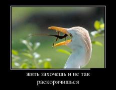 1419935221_dmtv-26.jpg