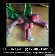 post-49561-0-32766800-1448530412.png