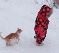 145145145819626705.gif