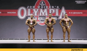гифка-бодибилдинг-внезапно-песочница-2700763.gif