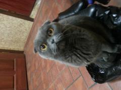 20150912_224353.jpg
