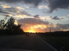IMG_4770.JPG