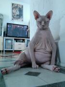 tumblr_lym9ybN5l31qbf0k3o1_1280.jpg