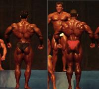 spina levrone vs flex.jpg