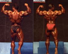 spina levrone vs flex_.jpg