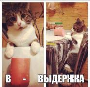 в.jpg