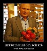 тубек.jpg