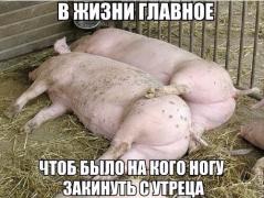 rdXQI5Ost28.jpg
