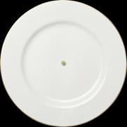plate.jpg