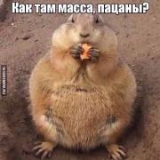 image.jpeg