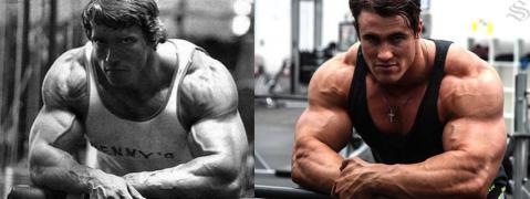 slw-arnie-calumvonmoger-bodybuilding.jpg
