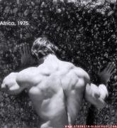 75bc174d45ff4888a90435d8789f00f8.jpg