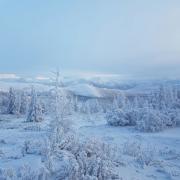 IMG_6843.JPG