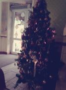 20161218_115514.jpg