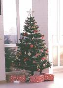 20161222_130956.jpg