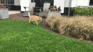 1481401293115375519.gif