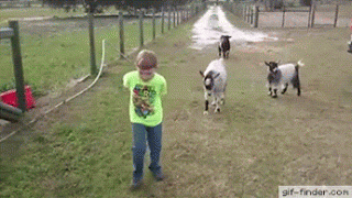 1482124112170376383.gif