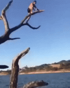 1482932034196378571.gif