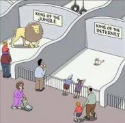 1481508806142928538.jpg