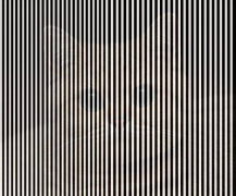 15380632_2138634139695845_3296481116212056513_n.png